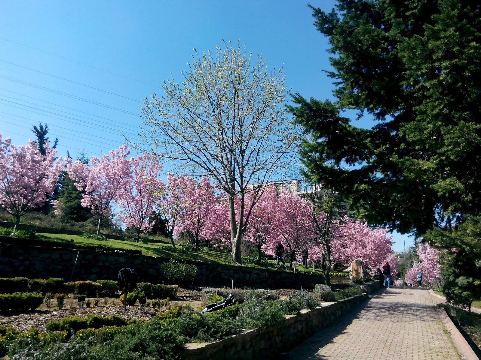 İstanbul’da Nereler Gezilir? İstanbul'da Gezilecek Yerler
